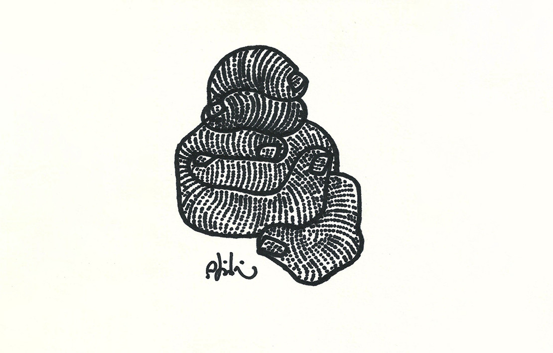 Bir Olay Anımsıyorum