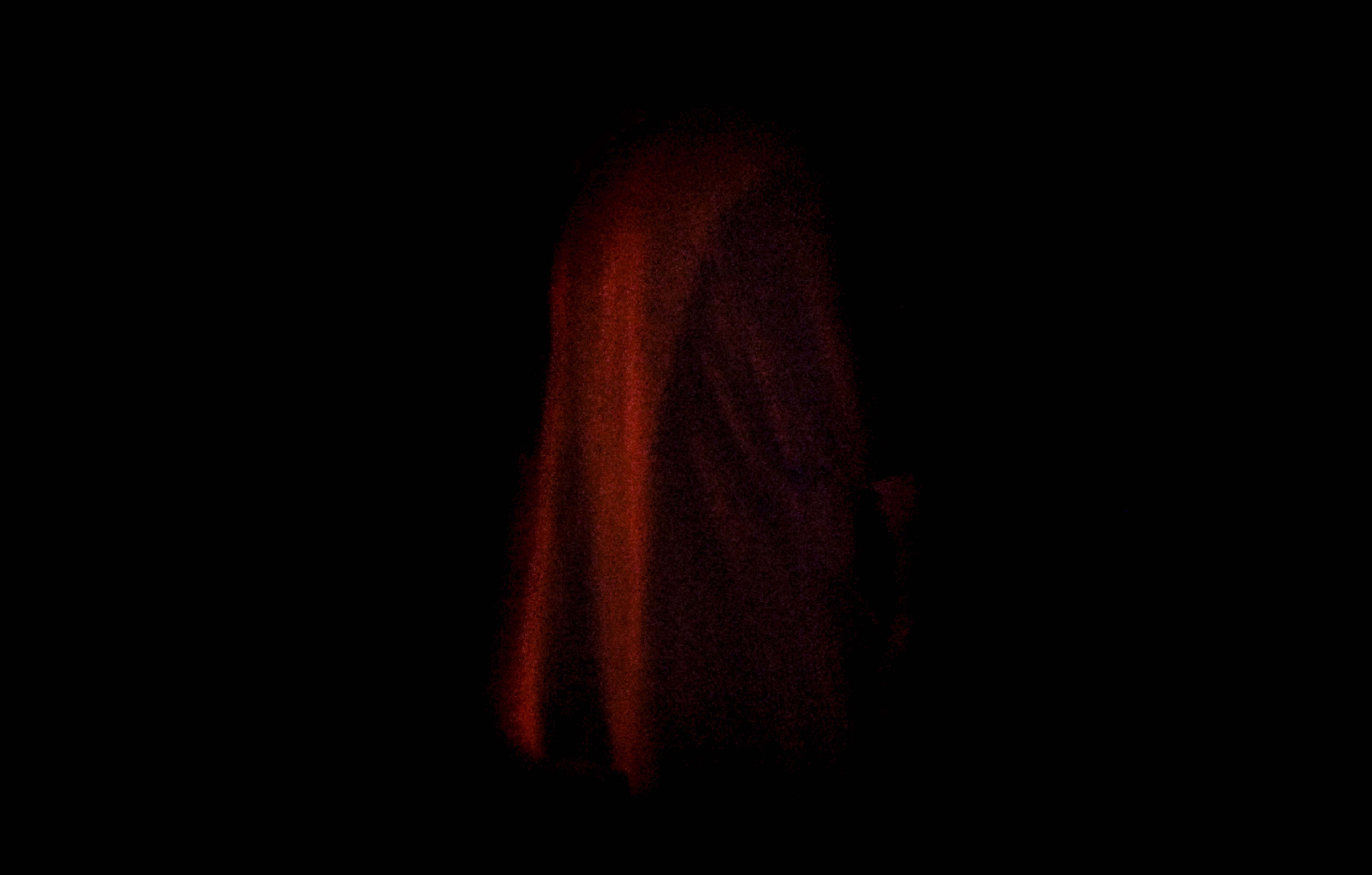 There is a Dog in the Corridor